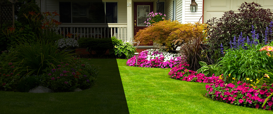 Los Banos Landscapers