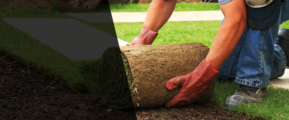 Los Banos Landscapers